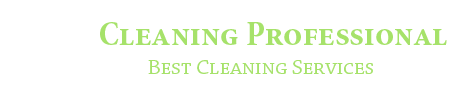 Cleaning Professional - Cleaning Lead Generation Wordpress Landing Page