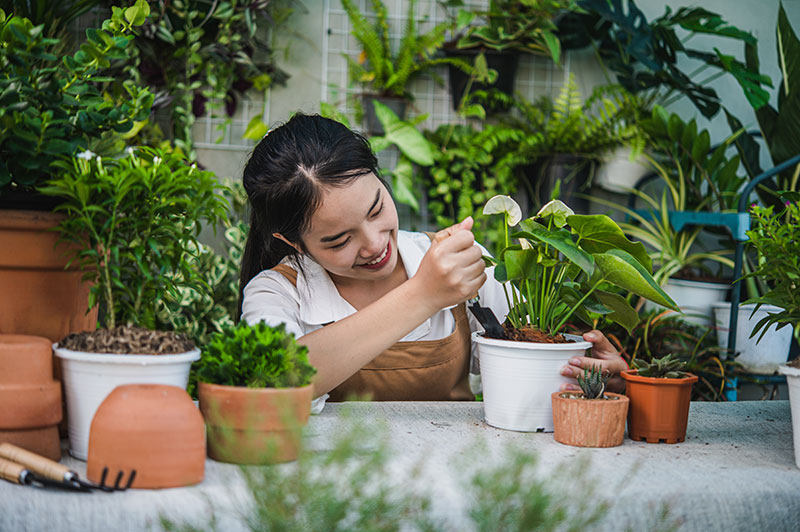 Garden maintenance