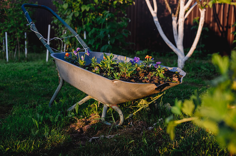 Lawn care and mowing